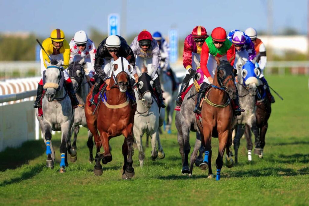 5 Top Motley Fool Stocks to Buy in September 2026 horses compete to win race