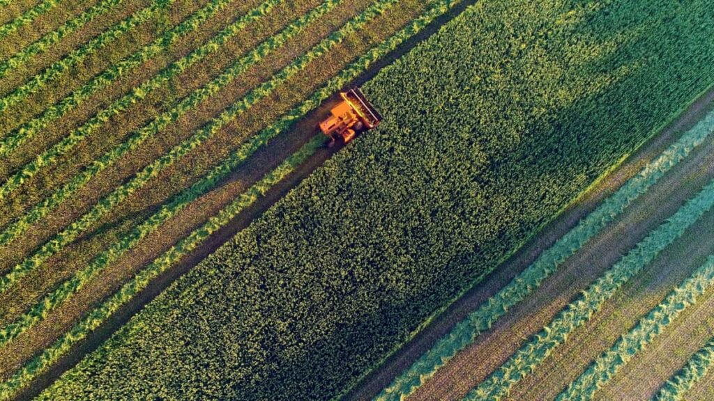Canada’s Potash Exports Face Fresh U.S. Uncertainty: What Investors Need to Know? Agricultural harvesting at the last light of day, aerial view.